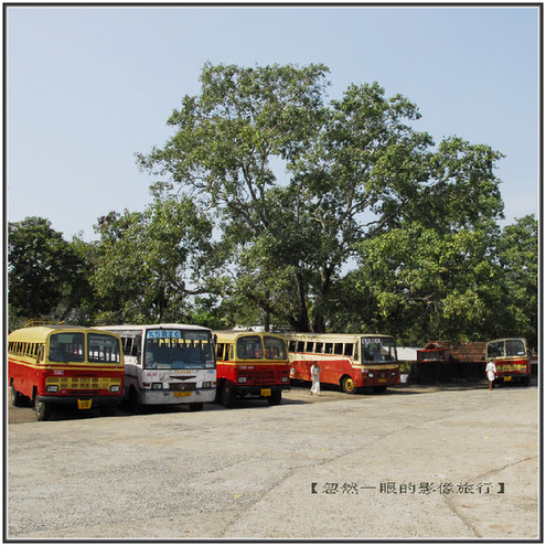 印度交通像廟會 校車很拉風(圖)