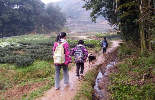 閩南山村三姐弟徒步上學盼校車
