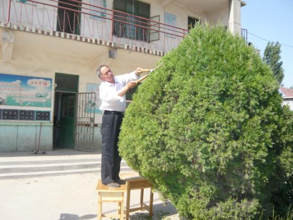 高青縣新徐小學：新一輪環境綜合治理扮靚校園(圖)