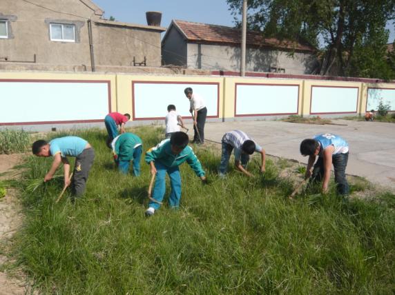 高青縣新徐小學：新一輪環境綜合治理扮靚校園(圖)