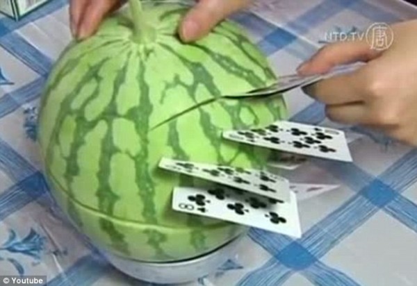 民間自有高人在 南京校車司機苦練十載終修成小葉飛牌