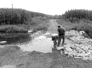 校車無法進村 孩子上學咋辦