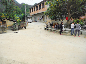 事故發生在大樹旁邊的下車點，這里離平平的家只有二三十米。