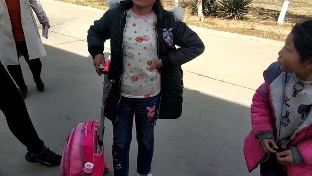 大荔:校車管理混亂 幼兒安全令人堪憂 大荔:校車管理混亂 幼兒安全令人堪憂