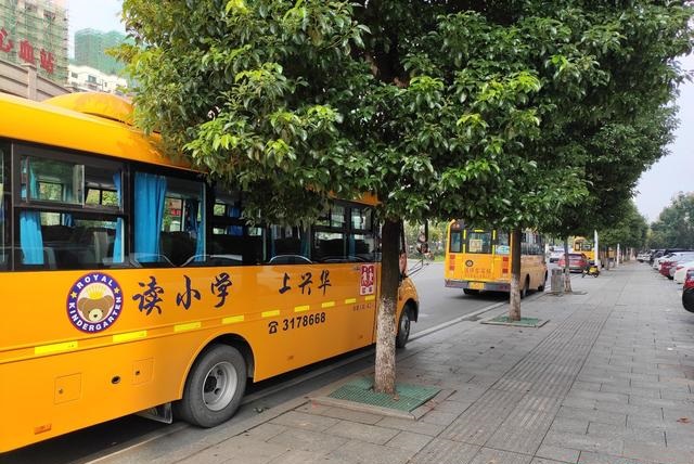 衡陽：向不文明行為說“不”，天臺路校車扎堆亂停 導(dǎo)致交通混亂