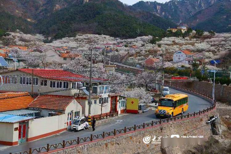 全國首個校車運營服務管理團體標準正式發布