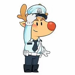 “無資質(zhì)”校車超員 交警“零容忍”