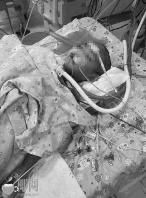 海南萬(wàn)寧被遺忘校車(chē)內(nèi)男童離世 誰(shuí)該為這起悲劇承擔(dān)責(zé)任? \