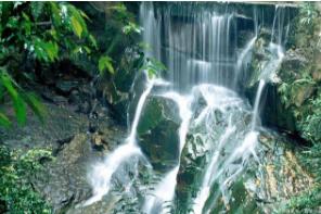 全國疫情慢慢退去，大量民辦幼兒園或迎來“至暗時刻”