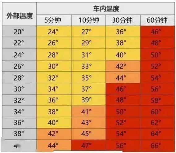 【大舒有話說】“校車奪命”悲劇一起都不應該有！