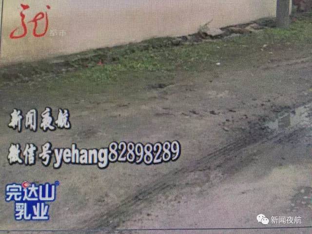 小學生放學回家 下車后被送他的校車碾軋致死