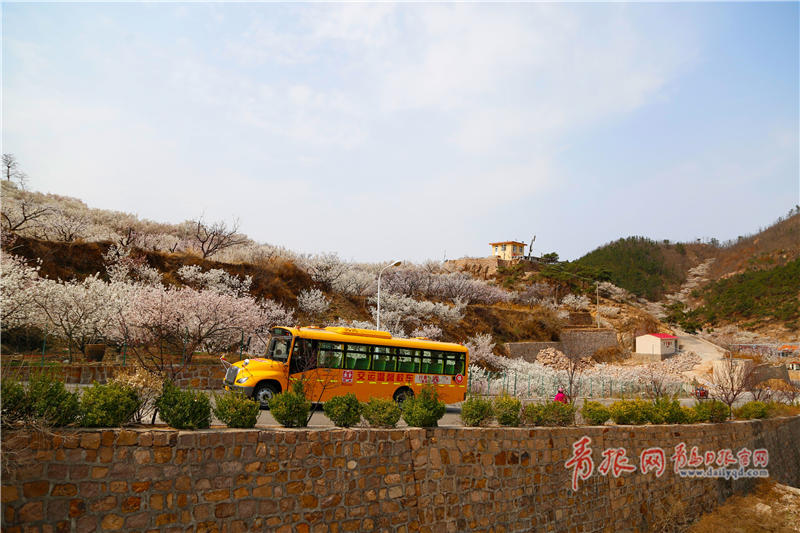 青島農村校車開通7年 “大鼻子”載著山里娃追夢