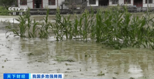 緊急！緊急！84條河流現超警洪水！上萬畝農田被淹，校車陷1米深積水…