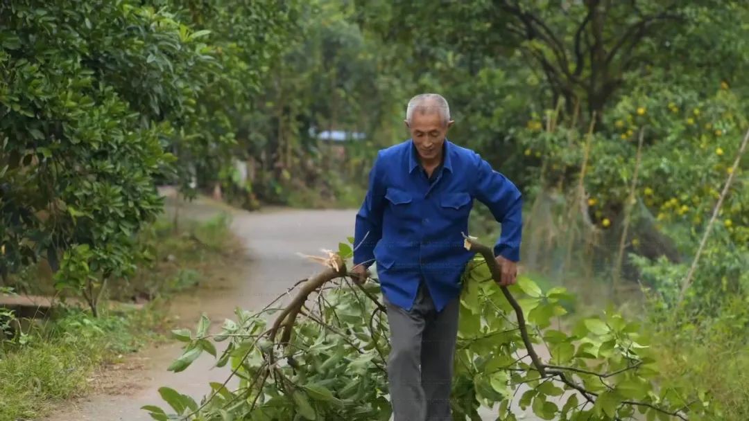 四川廣安引進46輛校車“解決農村幼兒入園乘車難”問題