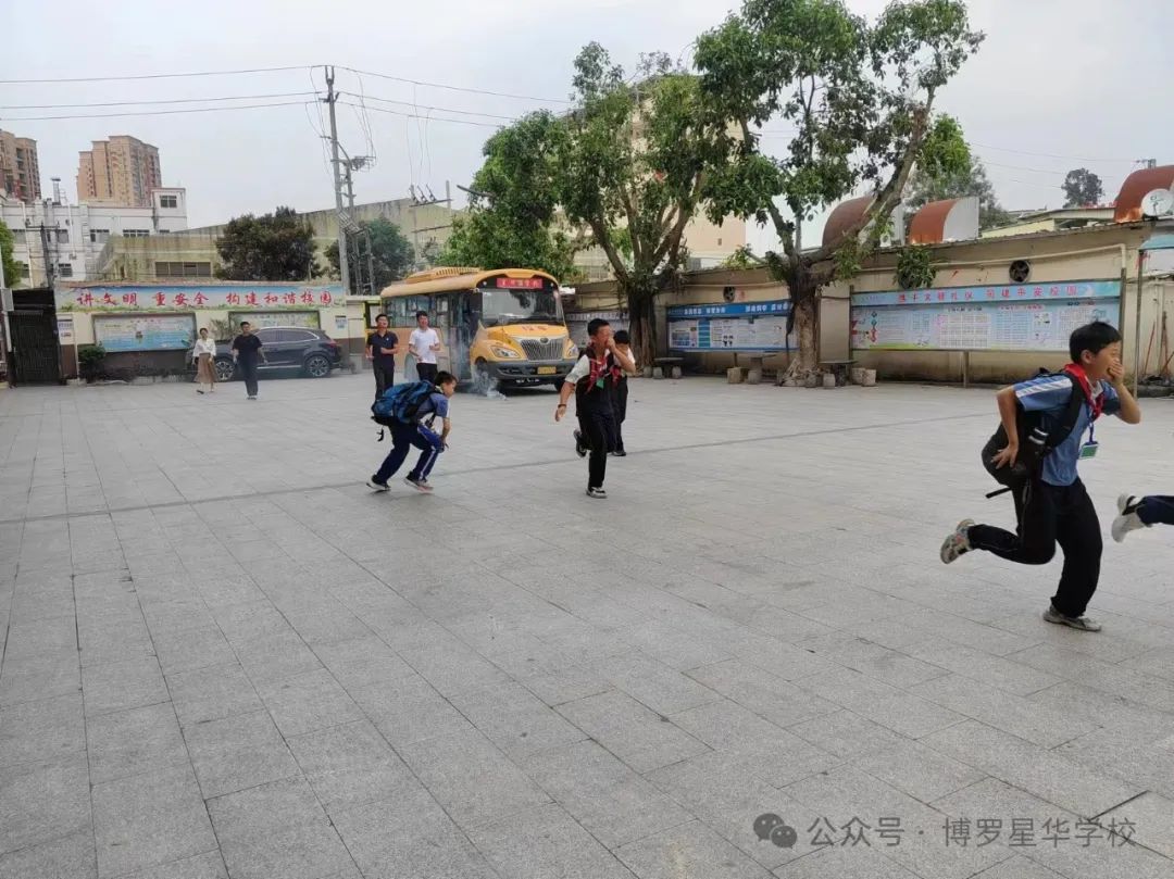 安全乘校車,平安伴我行——星華學校開展校車安全應急疏散演練活動 圖片