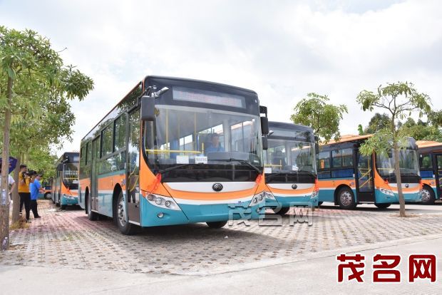 廣東茂名電白區(qū)即將開通水東城區(qū)學(xué)校21條專線校車