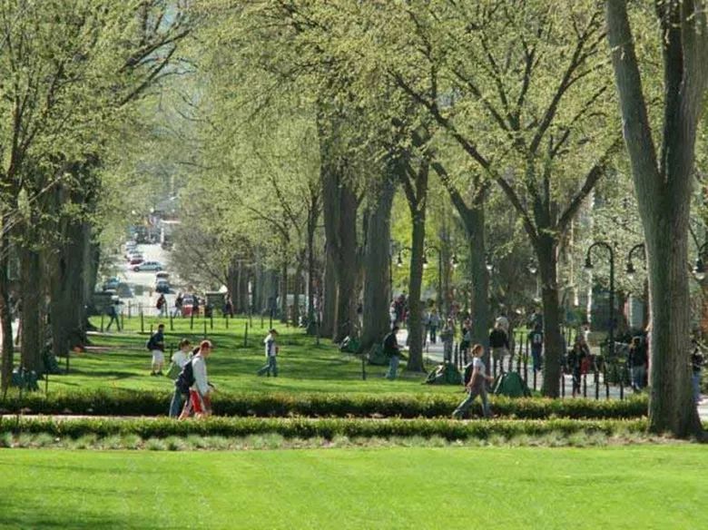 美國校車故事-究竟是誰高“車”一等?