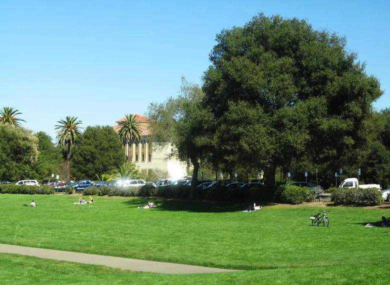 美國校車故事-究竟是誰高“車”一等?